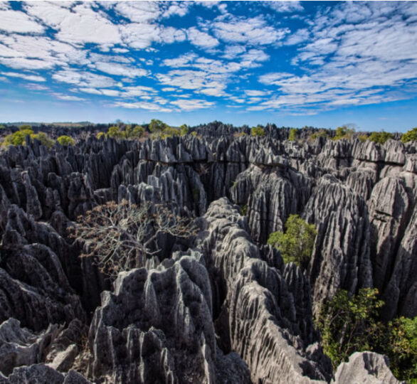 Tsingy of Bemaraha