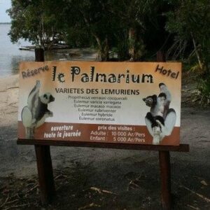 palmarium